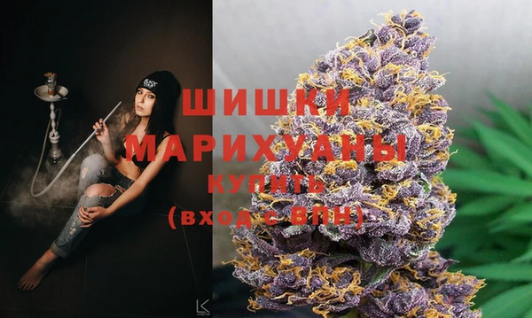 сатива Алексин