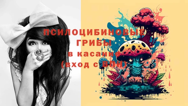 ECSTASY Саяногорск
